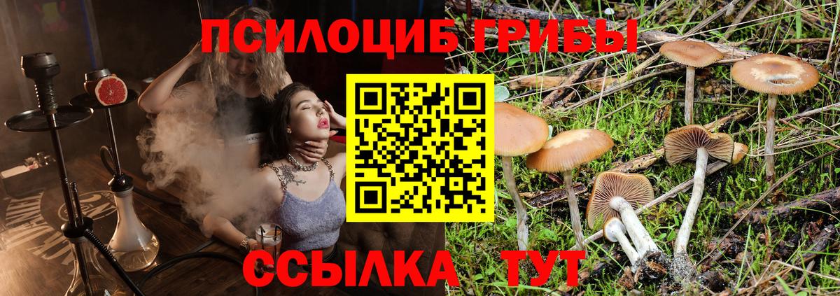 Псилоцибиновые грибы прущие грибы Краснодар