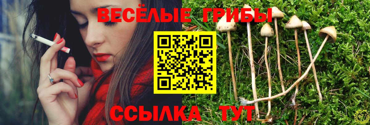 Псилоцибиновые грибы MAGIC MUSHROOMS  Галлюциногенные грибы Psilocybine cubensis  Вход с VPN  Краснодар 